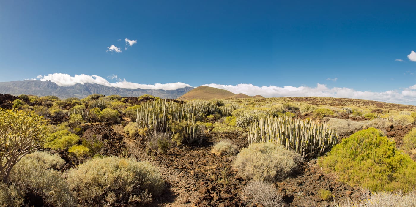 Vista panorámica del Malpaís de Güímar, malpaís volcánico junto al mar en el sureste de Tenerife.