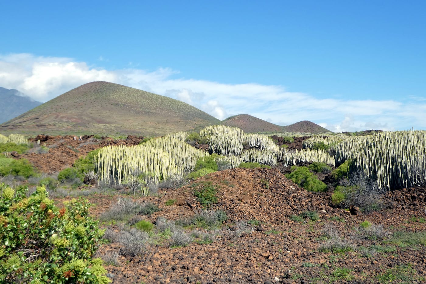 Paisaje de lava del Malpaís de Güímar, reserva natural en la costa sureste de Tenerife.