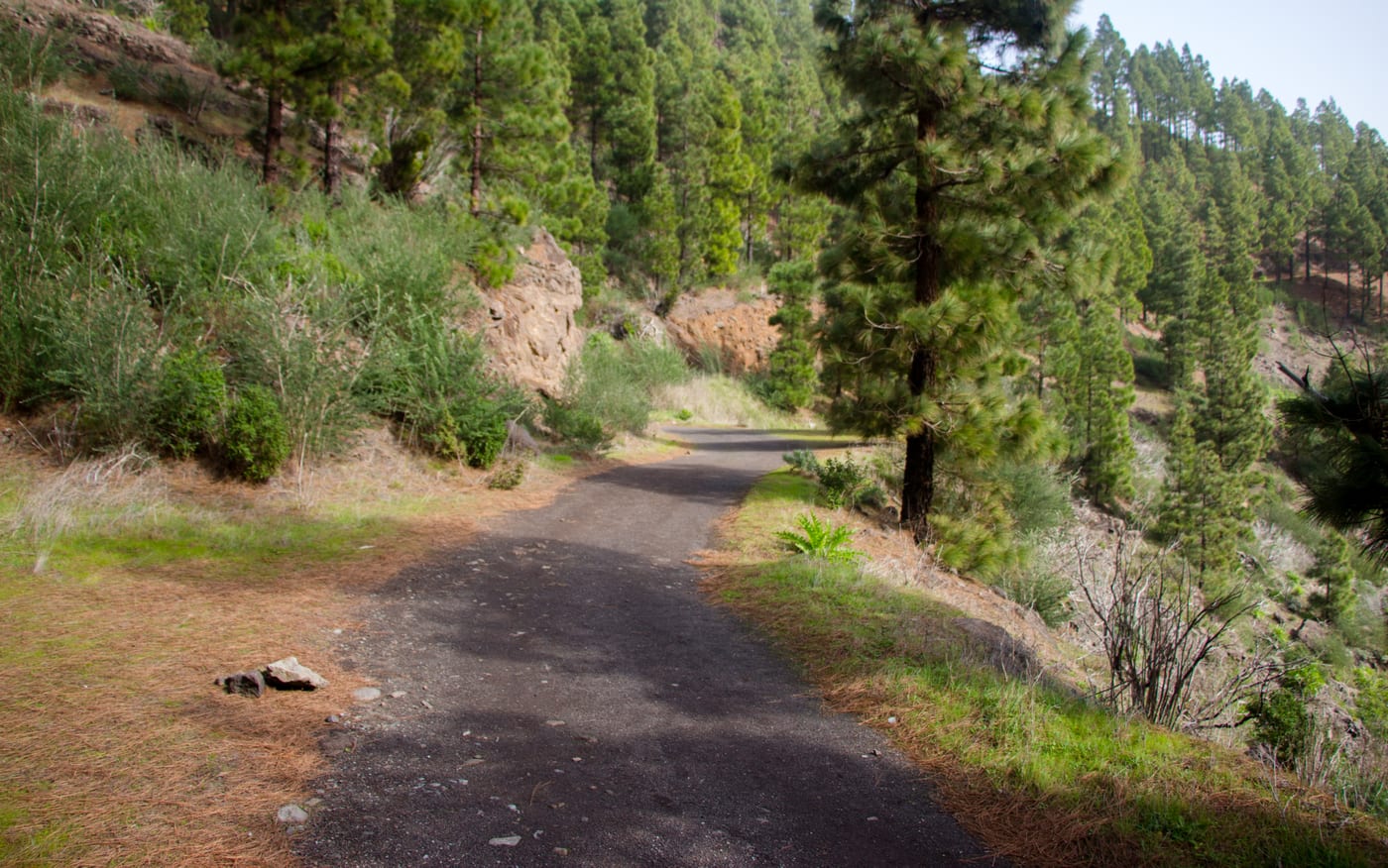 Camino entre Erjos y Baraján por el macizo de Teno, con vistas al paisaje y al mar (Tenerife).