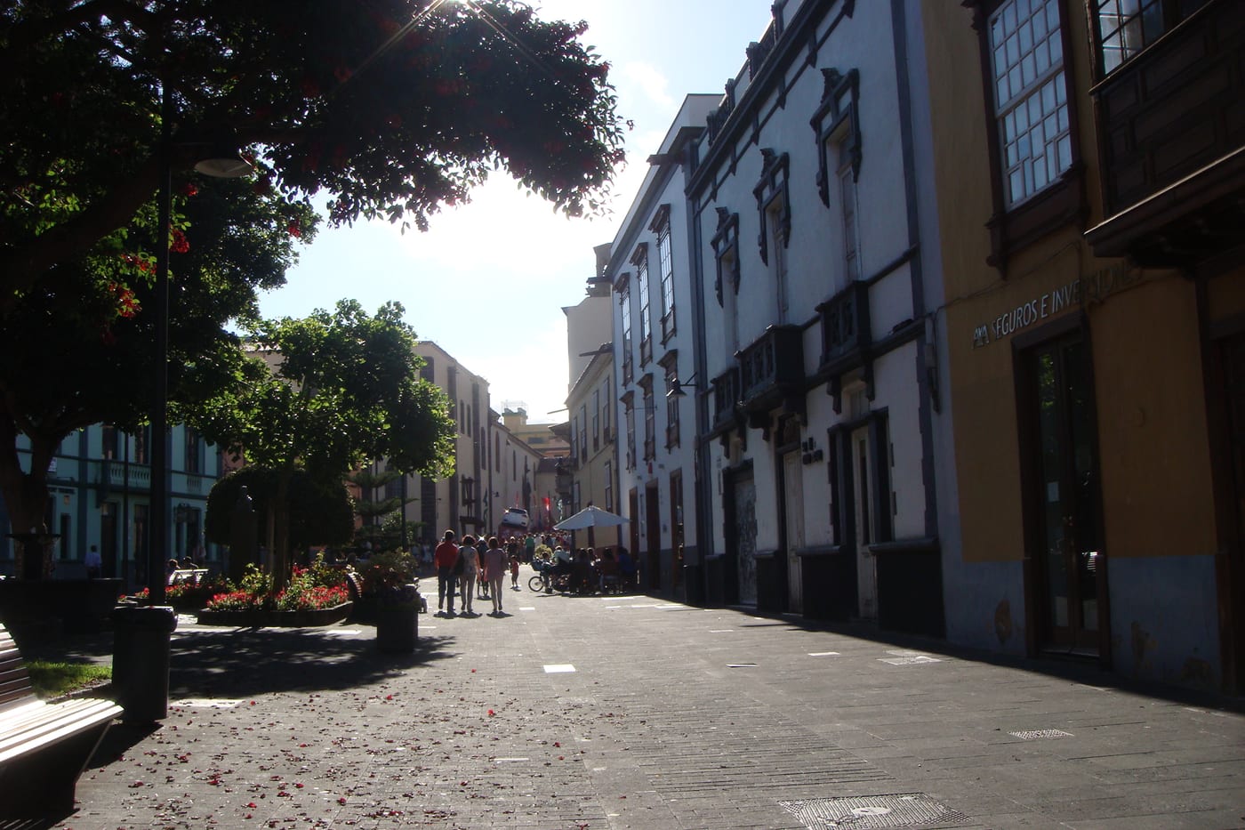 Plaza de La Concepción, in the heart of La Laguna's historic centre, beside the Church of the Concepción.