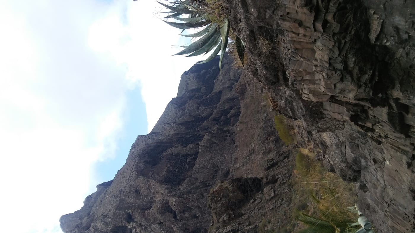 Una de las paredes del barranco, de cientos de metros de altura, que flanquean el sendero.