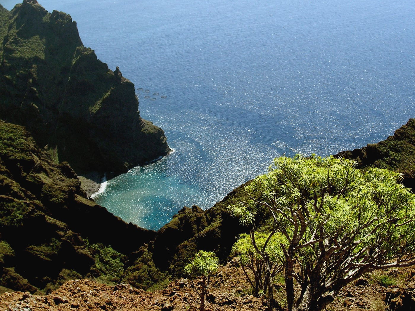 La cala y desembocadura del Barranco de Masca, donde el sendero termina junto al mar.