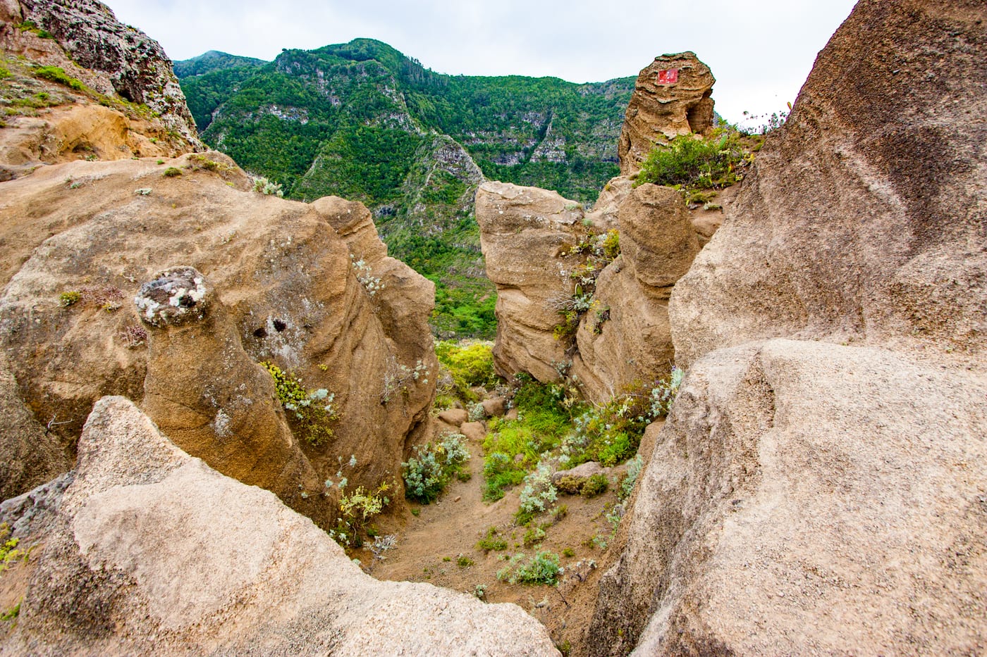 Laurisilva y montañas en la ruta del sendero de la Cruz del Carmen, en el macizo de Anaga, Tenerife.