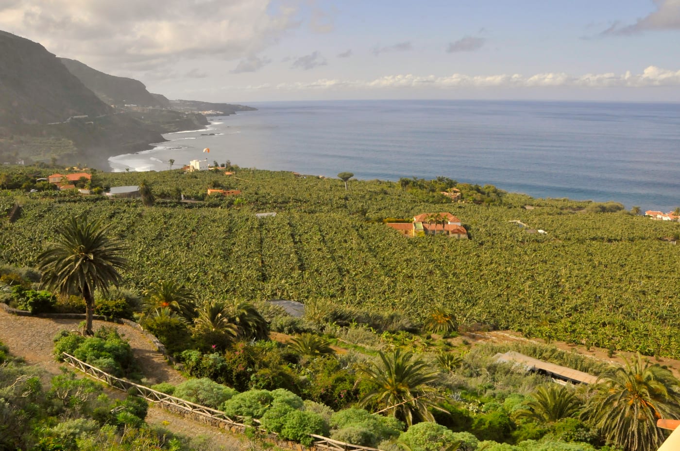 Mirador de San Pedro, Los Realejos, Tenerife