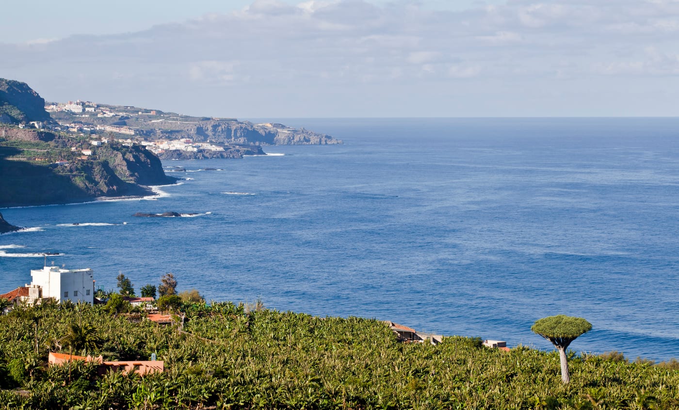 Vista de la costa y la Rambla de Castro desde el Mirador de San Pedro, Los Realejos