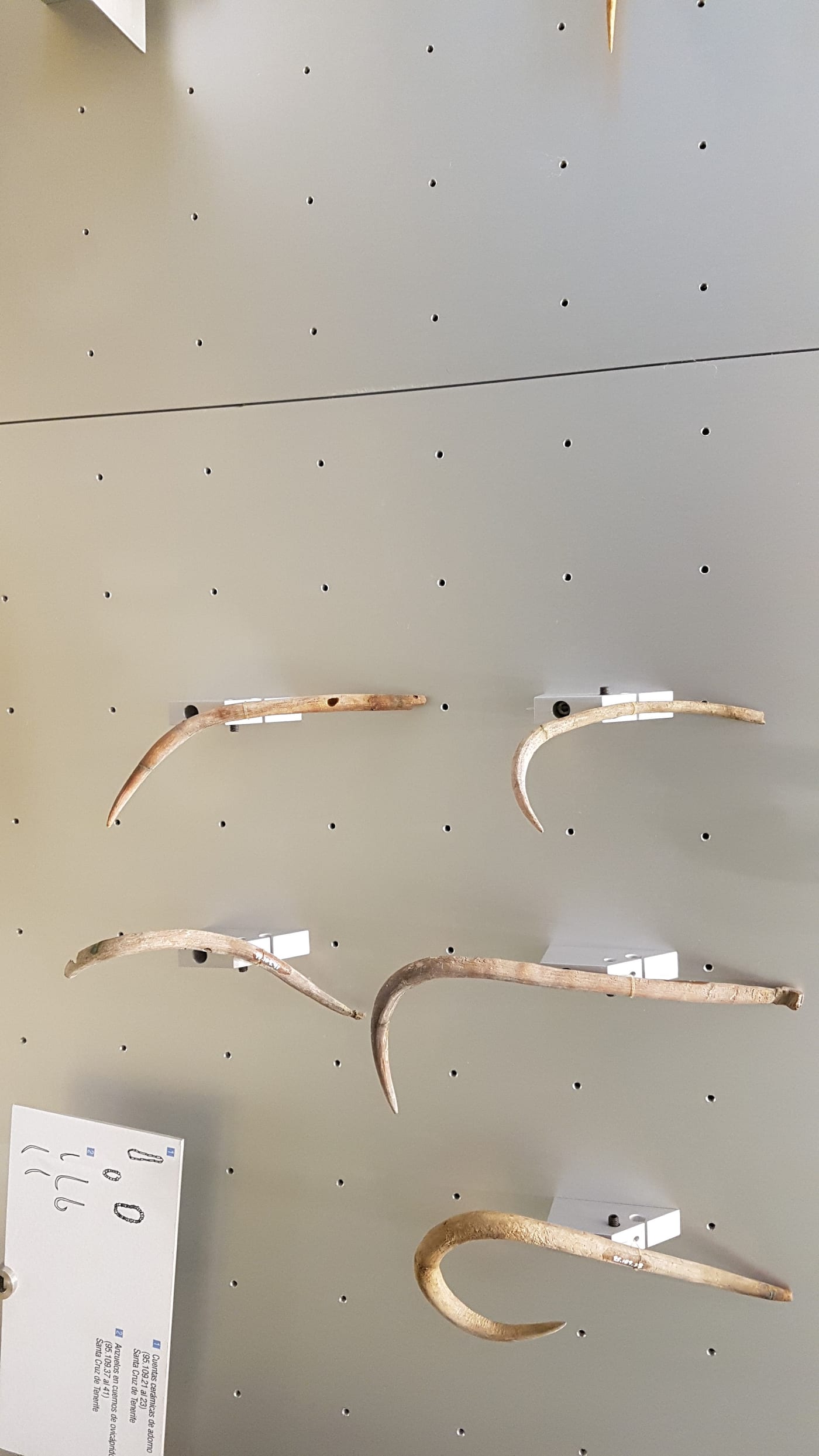 Anzuelos de los aborígenes guanches, colección de Canarias prehispánica del Museo de la Naturaleza y Arqueología (MUNA).