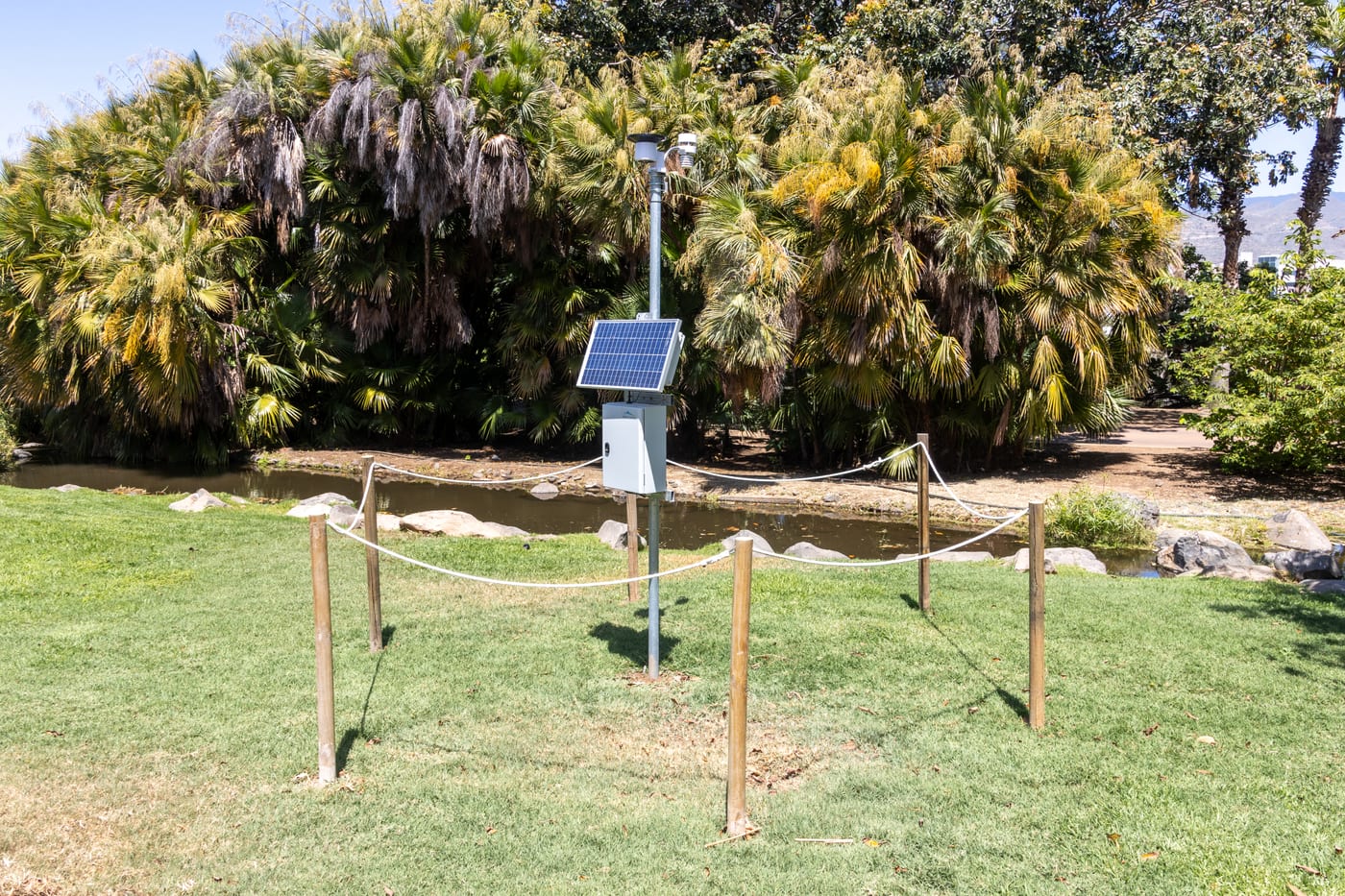 Senderos y colecciones de palmeras del Palmetum de Santa Cruz de Tenerife