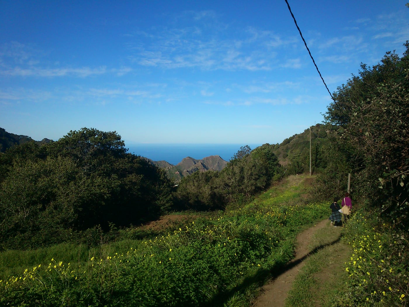 Sendero entre la laurisilva del Parque Rural de Anaga, de Cruz del Carmen a Las Carboneras