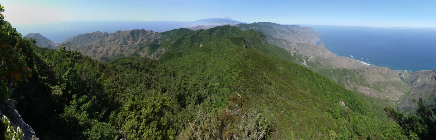Vista panoramica desde la cumbre del Chinobre, con las crestas de Anaga y la costa al fondo (Tenerife).