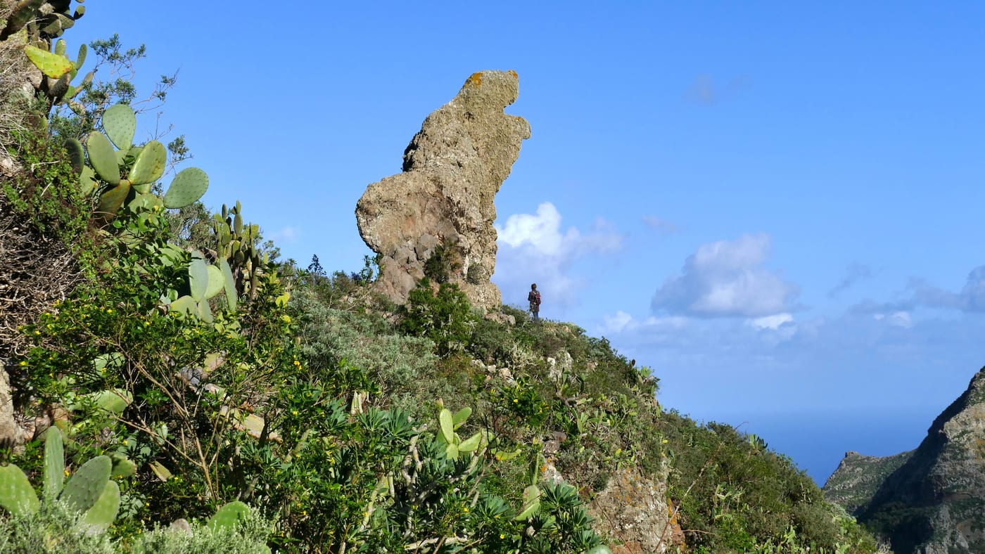 El Roque Pilon, una de las afiladas crestas del macizo de Anaga junto a Chamorga, rodeado de laurisilva (Tenerife).