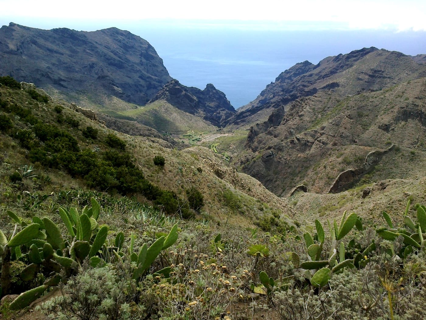 Acantilados y barranco del Macizo de Teno vistos desde el Mirador de los Altos de Baracán, con el mar al fondo (Buenavista del Norte, Tenerife).