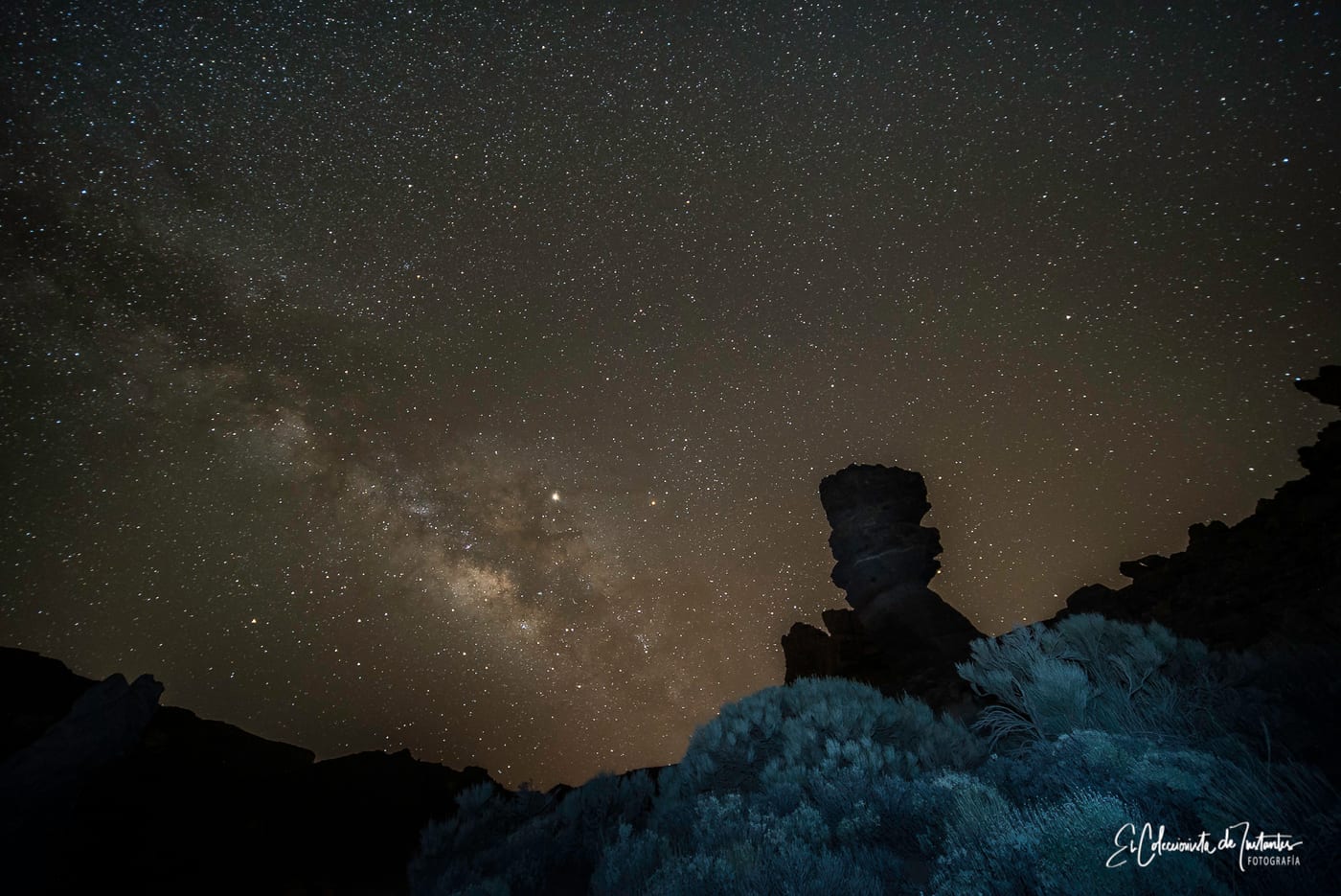 La Vía Láctea sobre los tajinastes rojos en el Parque Nacional del Teide, Tenerife
