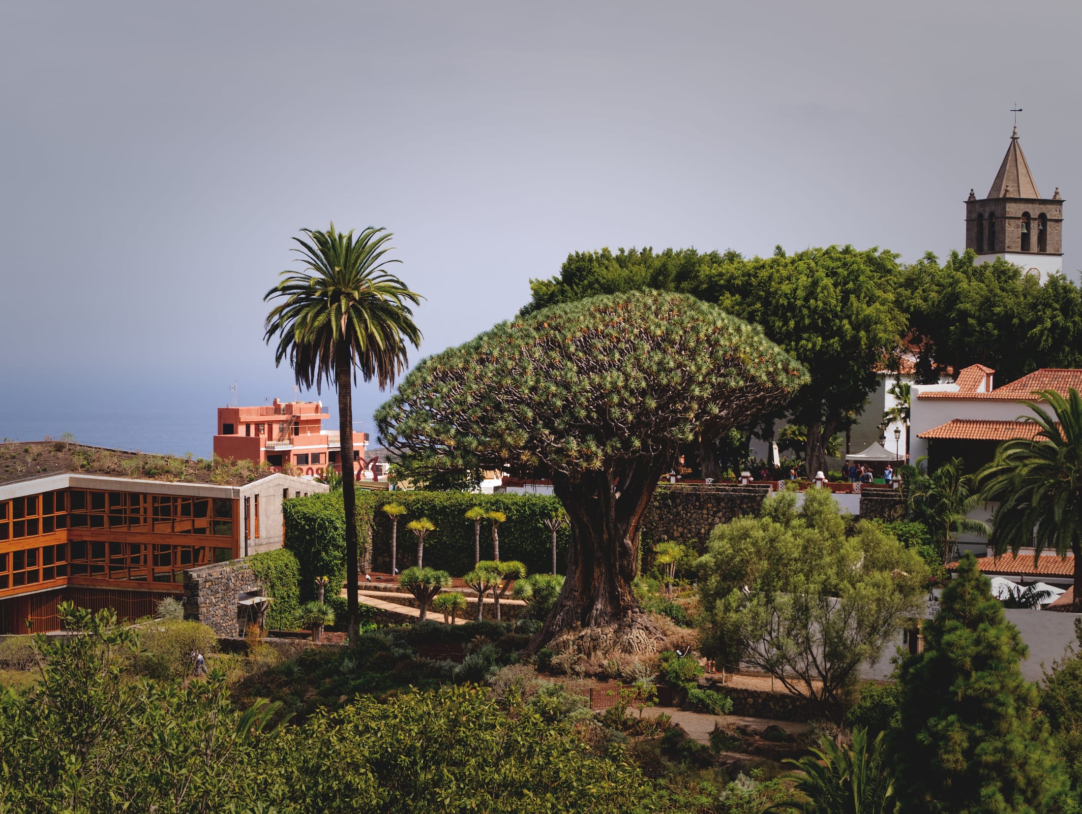 Vista de Icod de los Vinos
