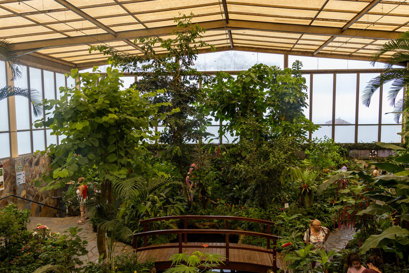 Mariposario del Drago
