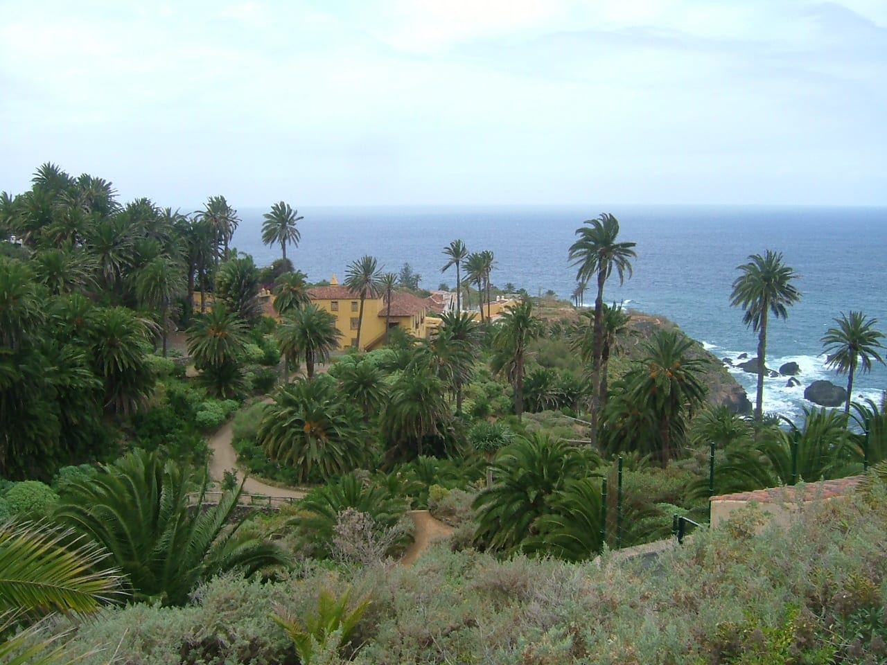 Vista de Los Realejos
