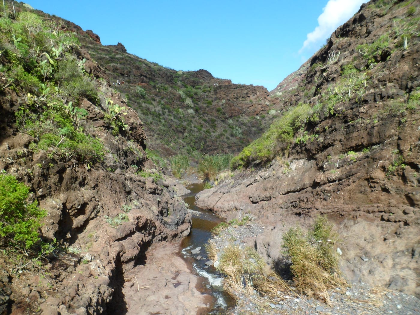 El barranco de Afur, valle por el que discurre el sendero hacia la playa de Tamadiste.