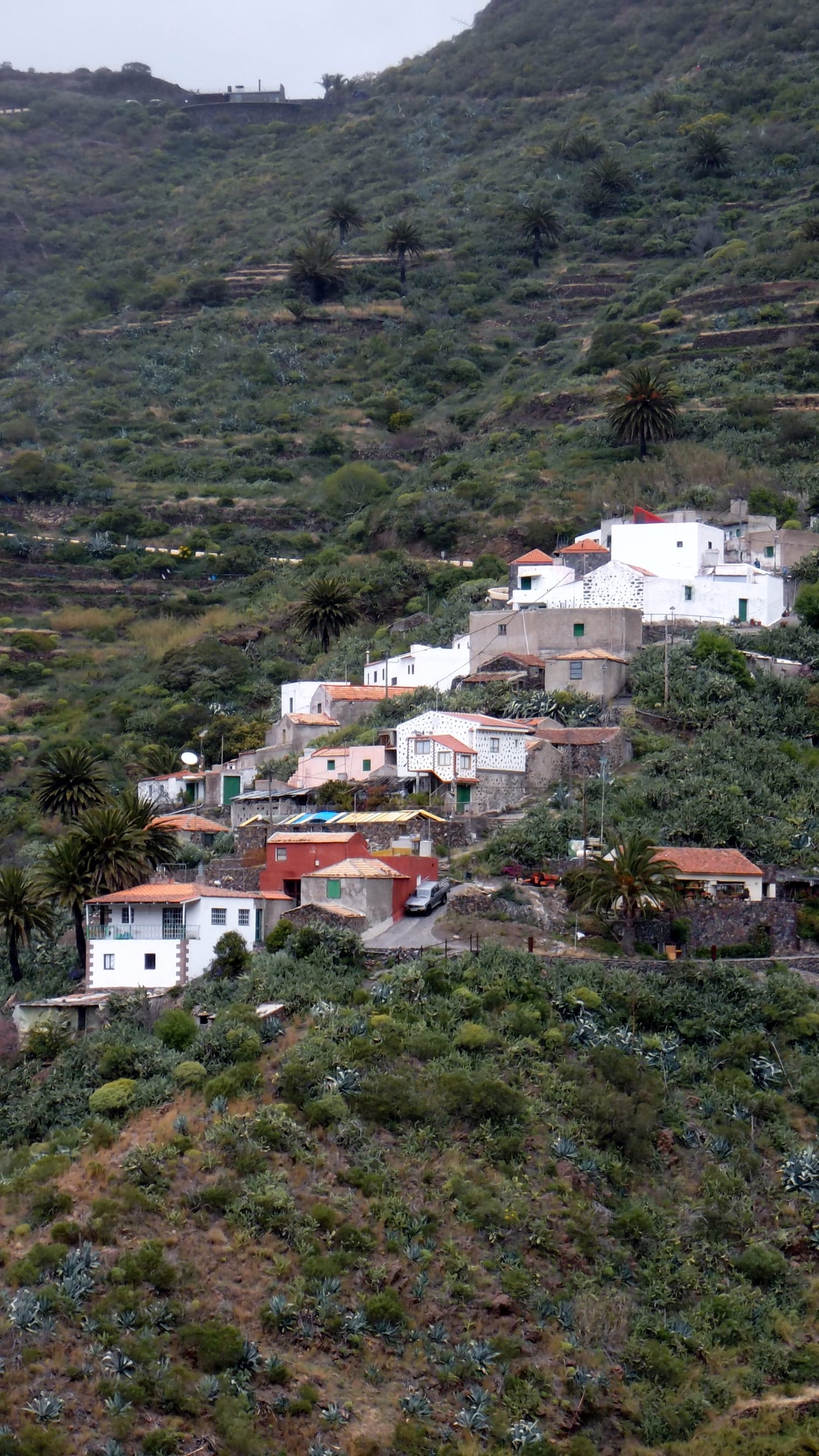 Casas tradicionales con terrazas en la aldea de Masca, encaramadas a la ladera.