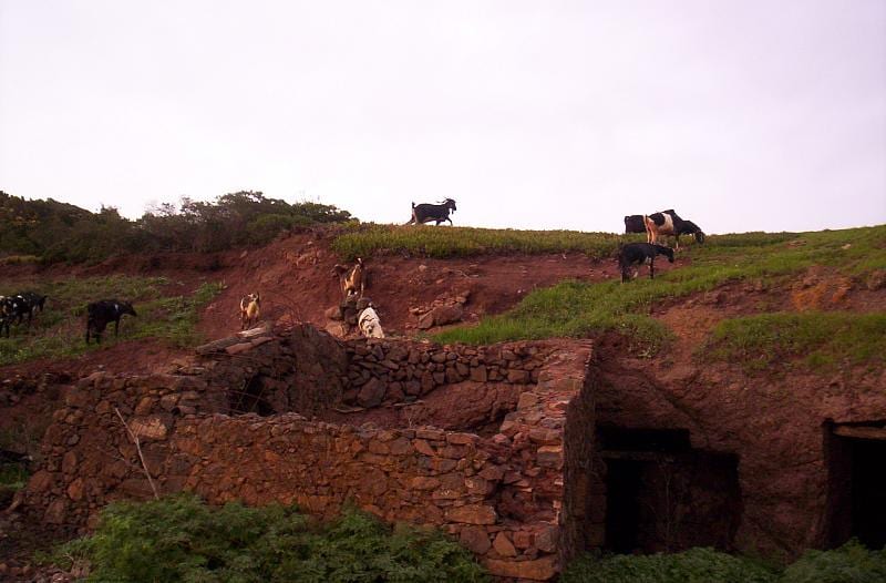 Cuevas y ganadería de cabras en Teno Alto, zona tradicional de pastoreo y queso.